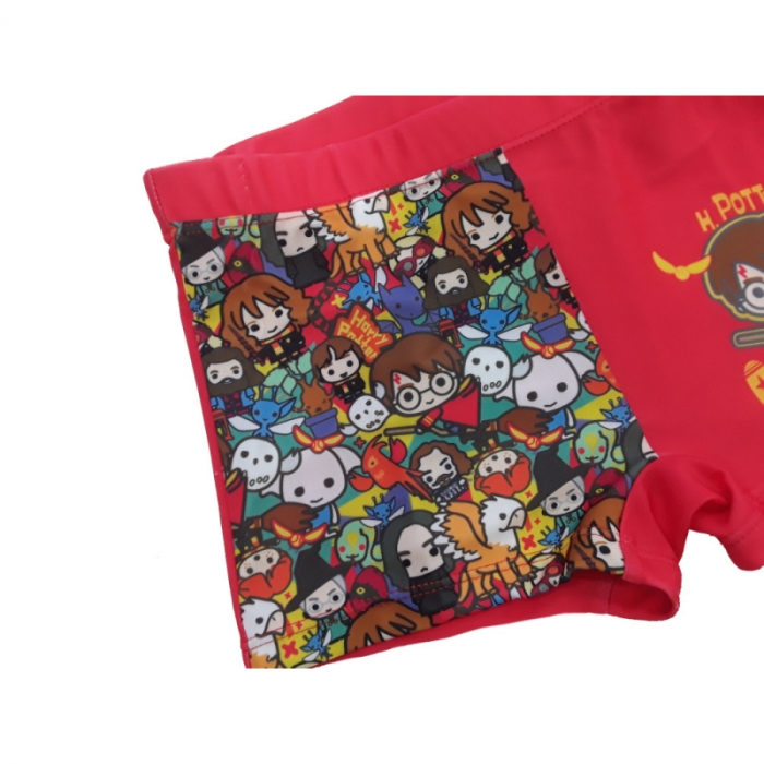 Slip boxeri, Harry Potter [2]