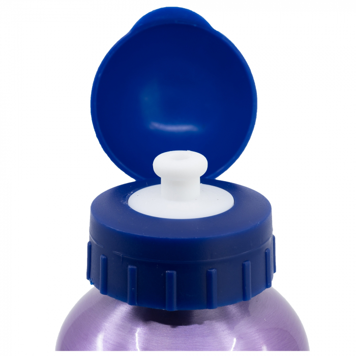 Sticla apa aluminiu Frozen Trust de Journey, 530 ml [3]