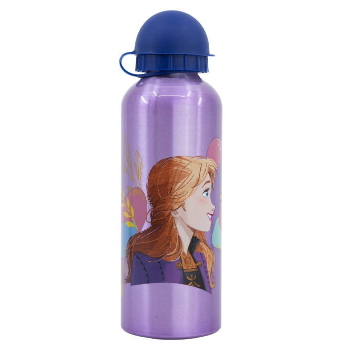 Sticla apa aluminiu Frozen Trust de Journey, 530 ml [2]