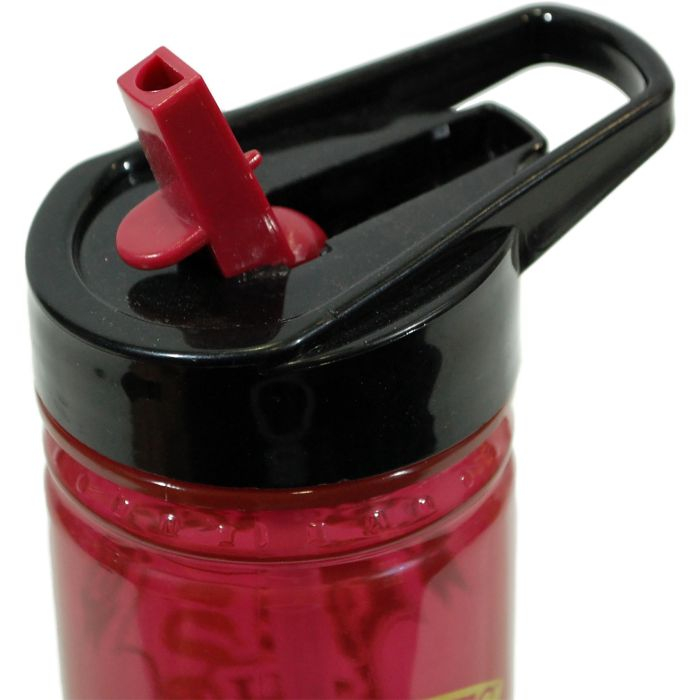 Sticla apa polipropilena Harry Potter Burgandy Crest 600 ml [4]