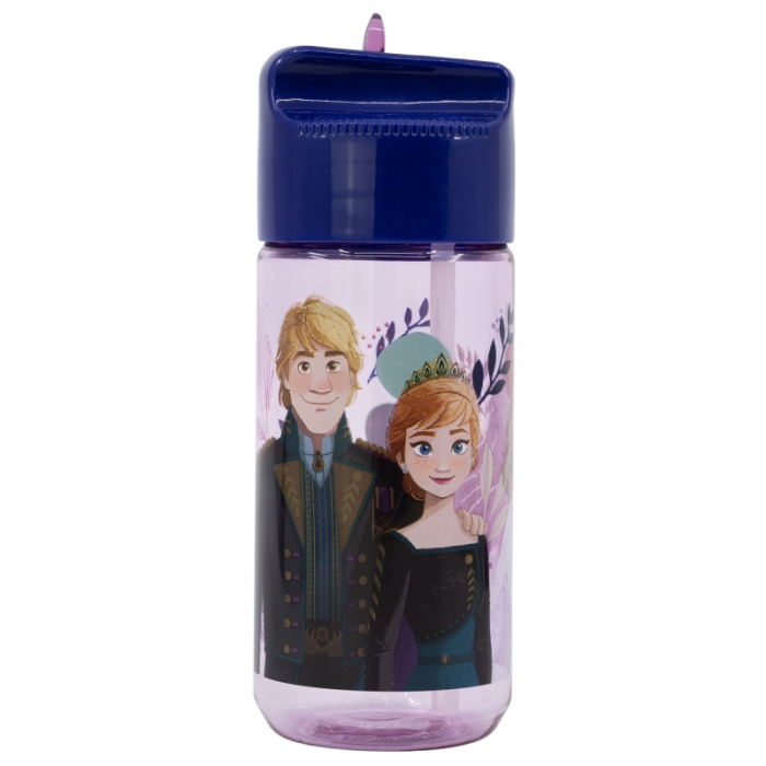 Sticla apa pentru copii, Frozen Trust the Journey, tritan, 430 ml [2]