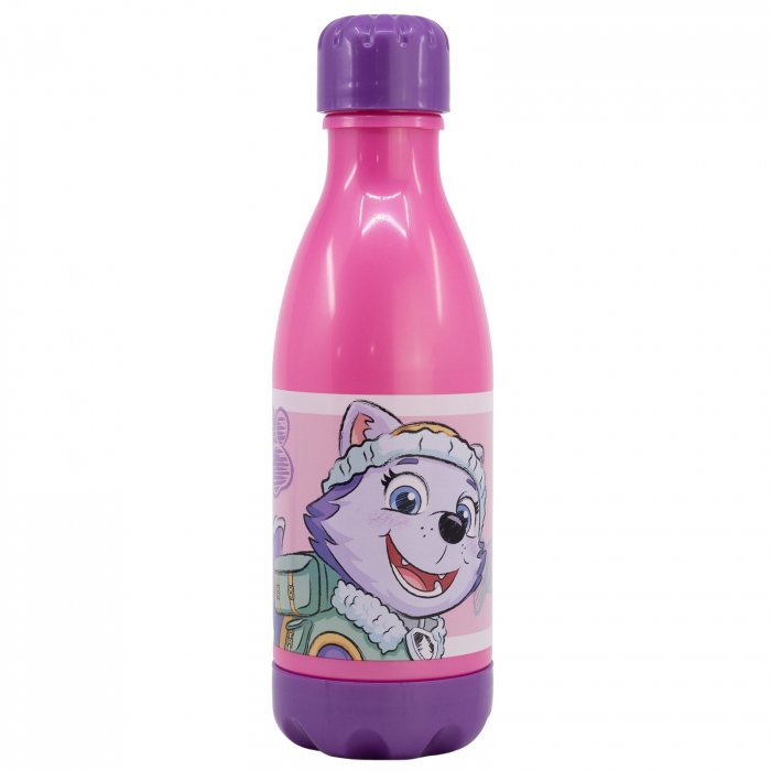 Sticla apa pentru copii, PP, Paw Patrol Girl Sketch Essence, 560 ml [2]