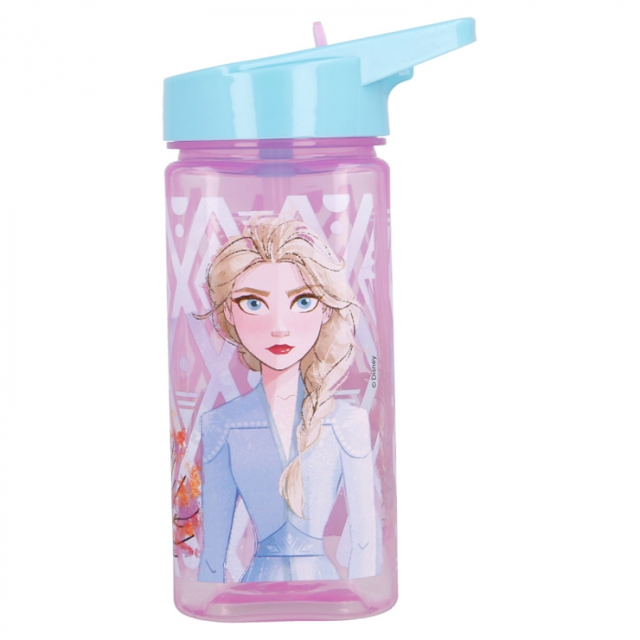 Sticla plastic pentru apa,dreptunghiulara,Frozen II Elements 530ml [2]