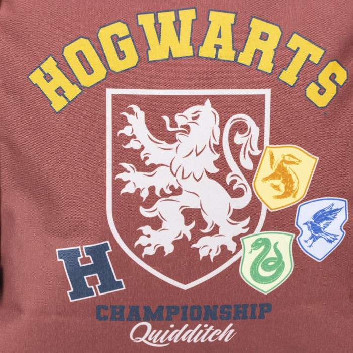Troler scoala Harry Potter Quidditch, 41x31x14 cm [7]