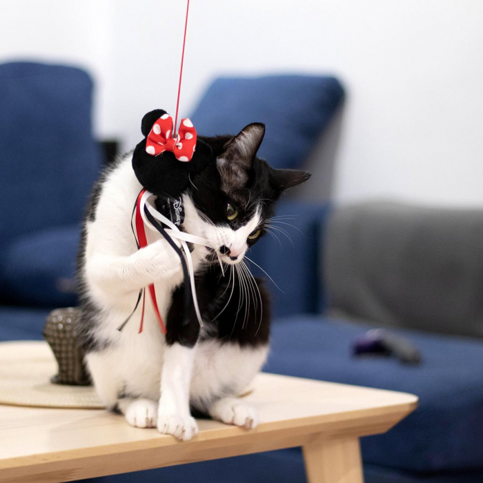 Undita pentru pisici Minnie Mouse, 46 cm [6]