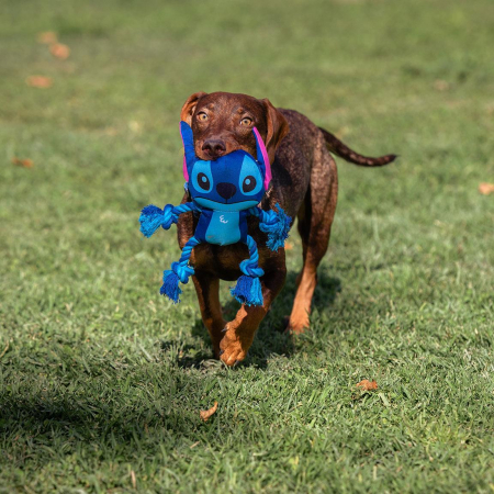 Jucarie pentru caini Disney Lilo & Stitch [4]