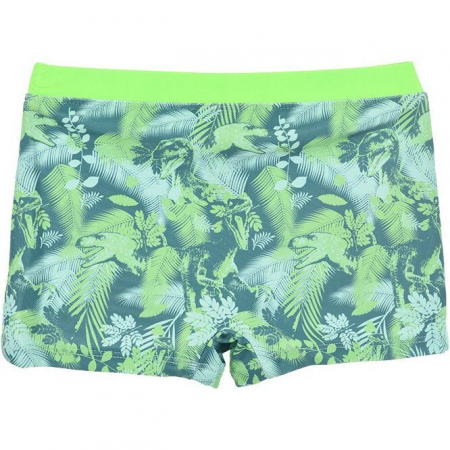 Boxeri baie baieti Jurassic World [1]