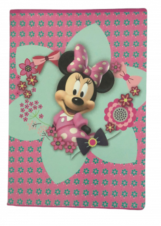 Totul pentru scoala - Caiet A4 matematica Minnie Mouse Star 80 file