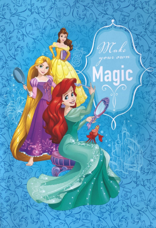 Caiete - Caiet A4 matematica Printesele Disney 80 file