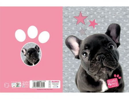 Caiet A5 liniat Paso 16 file [1]