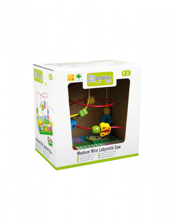 Jucarie dexteritate, lemn multicolor, labirint [2]