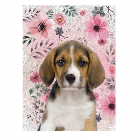 Totul pentru scoala - Jurnal Paso Dog, 12x17 cm
