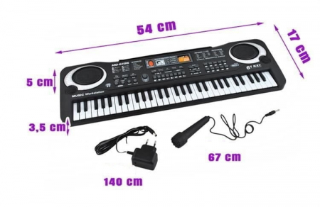 Orga electronica cu microfon, 61 clape, 10 ritmuri, 8 sunete de tamburine [4]