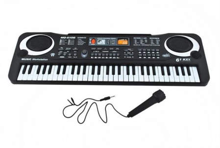 Orga electronica cu microfon, 61 clape, 10 ritmuri, 8 sunete de tamburine [0]