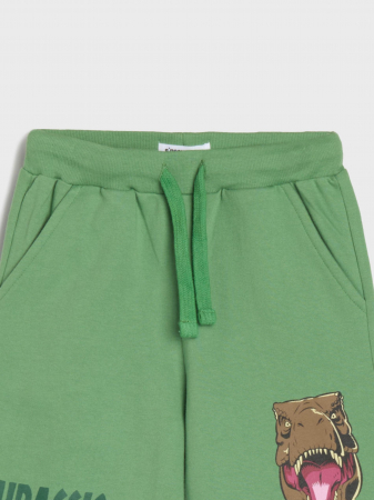 Pantaloni scurti Jurassic World [4]