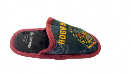 Pantofi copii - Papuci de casa Harry Potter