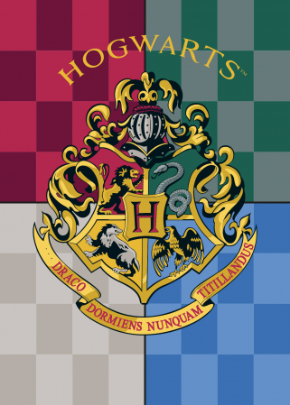 Paturi si cuverturi - Patura polar Harry Potter 100x140 cm