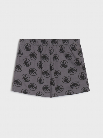 Pijama bumbac din doua piese Jurassic Park [2]
