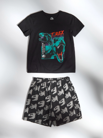 Imbracaminte si incaltaminte copii - Pijama bumbac din doua piese Jurassic Park T-Rex