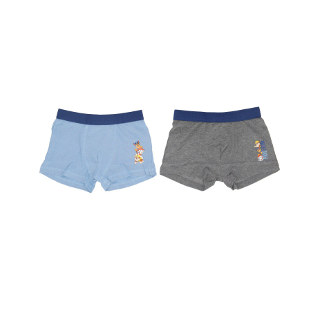 Lenjerie intima copii - Set 2 perechi boxeri bumbac, Paw Patrol