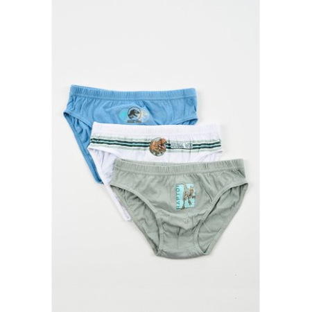 Lenjerie intima copii - Set 3 perechi chiloti bumbac  Jurassic Park