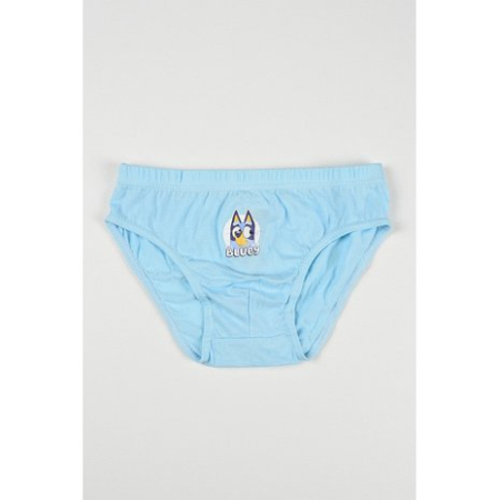 Set 3 perechi chiloti pentru baieti din bumbac organic, Bluey si Bingo [2]