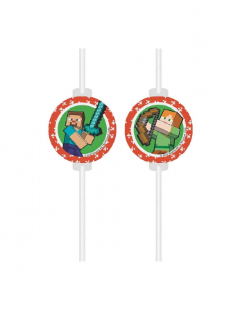 Set 4 paie de hartie Minecraft [1]