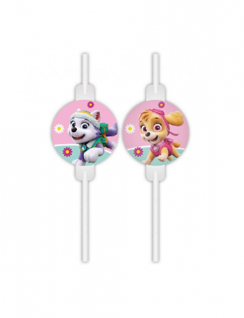 Vesela pentru petrecere - Set 4 paie de hartie Paw Patrol Skye And Everest