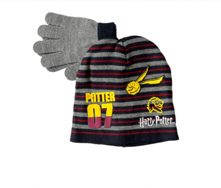 Sepci si caciuli copii - Set Caciula si manusi Harry Potter gri
