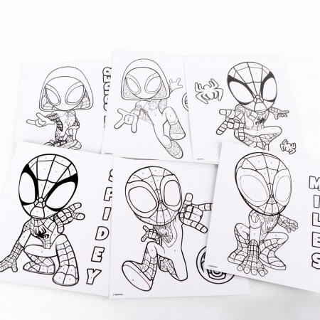 Set Colorful Spidey pictat dupa numere [2]