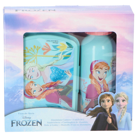 Articole hranire bebelusi - Set cutie sandwich si sticla apa din aluminiu 500ml Frozen Spirits