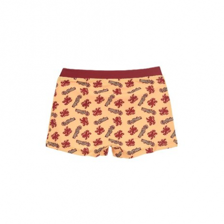 Slip boxeri Harry Potter Gryffindor [2]
