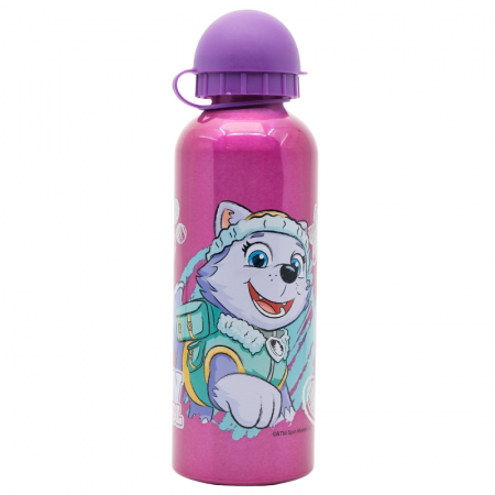 Sticle - Sticla apa Paw Patrol Skye si Eeverst aluminiu 400 ml, mov
