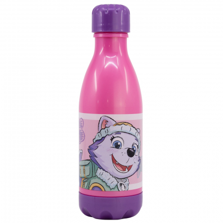 Sticla apa pentru copii, PP, Paw Patrol Girl Sketch Essence, 560 ml [1]