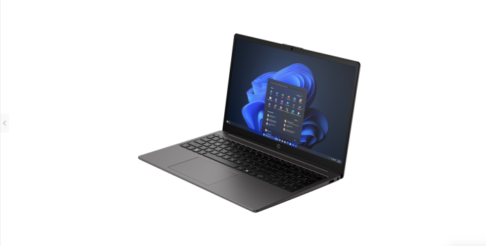 Laptop HP 250R G10, 15.6" Full HD, Intel® Core™ 3 100U pana la 4.7 GHz, 8 GB RAM DDR4 3200, 512 GB SSD, Intel Graphics, Free Dos, Dark Ash [3]