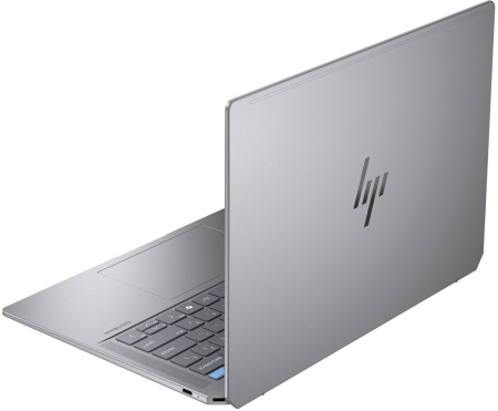 Laptop HP OmniBook Ultra 14, 14" 2.2K Touchscreen, AMD Ryzen™ AI 9 365 pana la 5 GHz, 16 GB RAM LPDDR5x 7500, 1 TB SSD, AMD Radeon Graphics, Windows 11 Home, Meteor Silver [5]