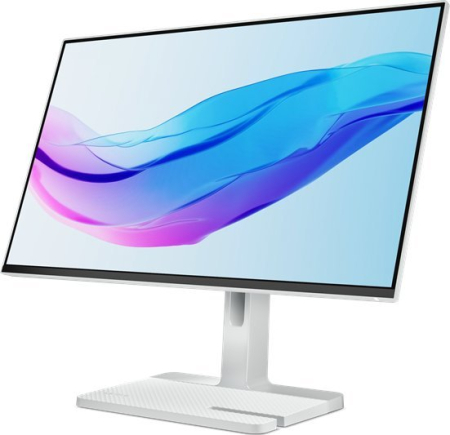 Monitor Lenovo L24m-4A, 23.8" Full HD 1920 x 1080, IPS 6 ms, 100 Hz, Grey [1]