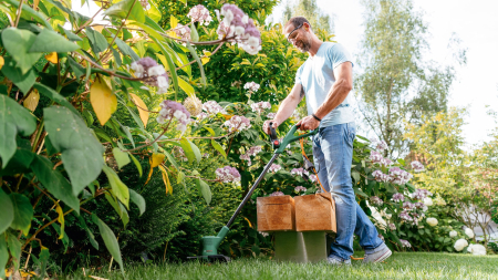 Trimmer gazon Bosch EasyGrassCut, 280 W, 26 cm, 18 V, Negru pukika.ro [3]