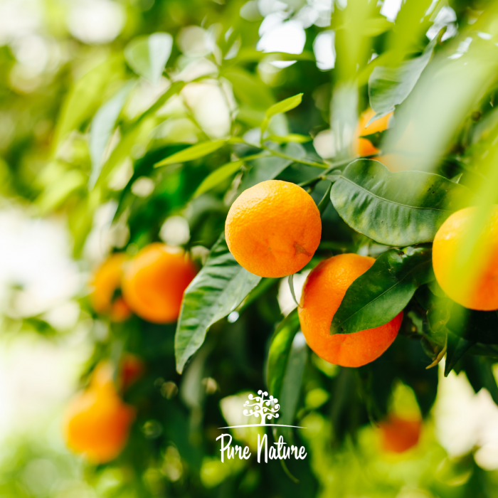 Mandarina Bio Supliment [2]