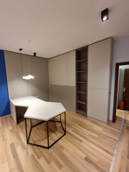 Amenajare  spatiu de birouri si arhiva Timisoara [7]