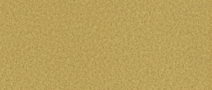 Catifea Cashmere [5]