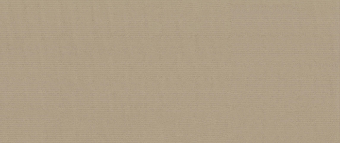 Catifea Jasmine [11]