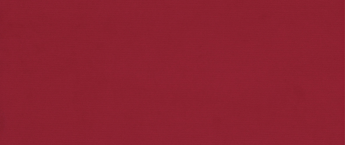 Catifea Jasmine [12]