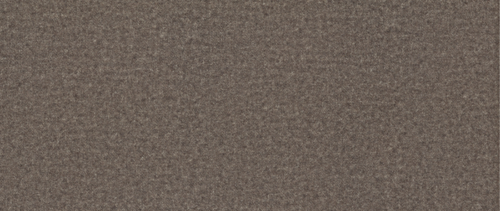 Catifea Woolly [3]
