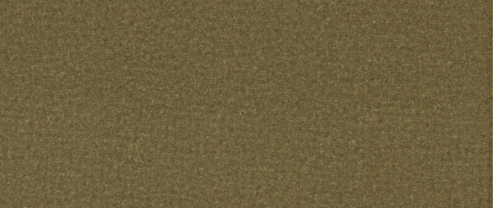 Catifea Woolly [5]