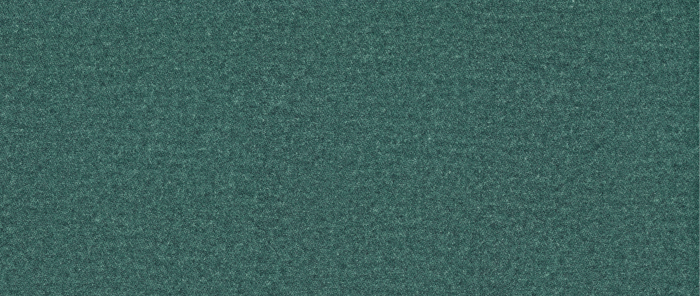 Catifea Woolly [10]
