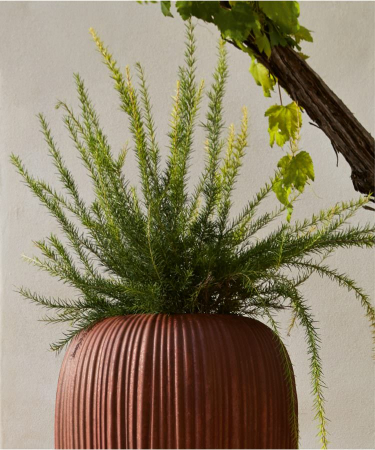 Vaza eleganta/Jardiniera Skin [2]