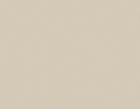 Finisaje Si Culori - Imitatie Piele Madryt