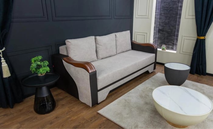 canapea extensibila BIA [11]