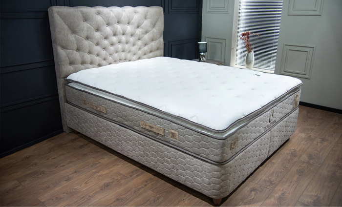 Pat tapitat CALIPTUS [13]